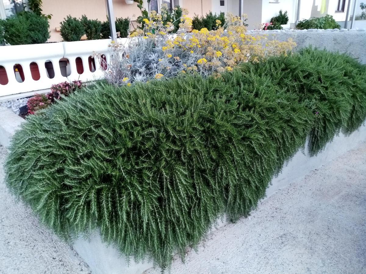 Apartment Lana Senj  Ngoại thất bức ảnh
